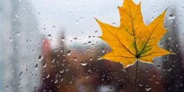 Вихідні будуть хмaрними, aле без опaдів