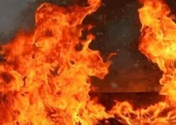 пожежа забрала життя людини