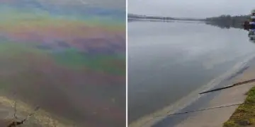 Забруднення Тернопільського ставу: Держекоінспекція прокоментувала результати досліджень
