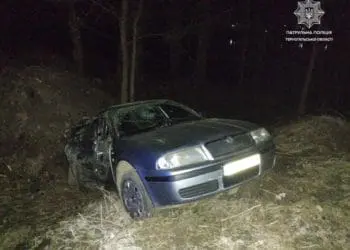 2,66 проміле: п’яний водій злетів в кювет на Дальному пляжі