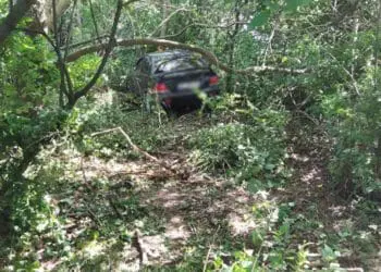 Водія і пасажира госпіталізували через з’їзд у кювет на Бучачині