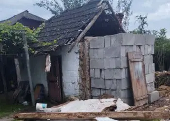 Стінна вагою майже пів тонни смертельно травмувала жительку Монастирищини