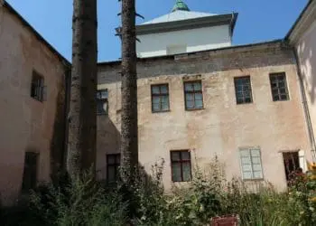 “Ці зрубані дерева мене просто вразили”: тернополянка обурюється знищенню смерек біля Катедри