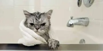 буде відключено воду