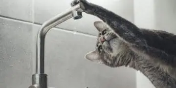 не буде води