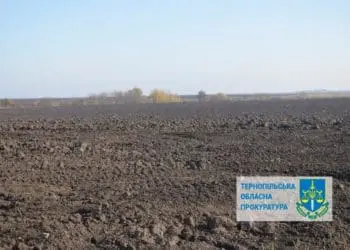 Майже три гектари землі конфіскували у росіянки на Тернопільщині