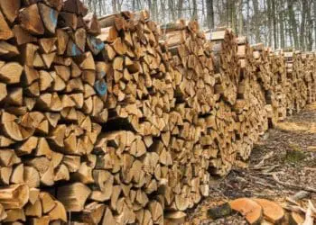 Жителі Тернопільщини продовжують втрачати гроші, купуючи дрова