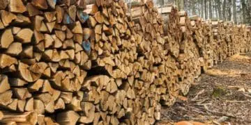 Жителі Тернопільщини продовжують втрачати гроші, купуючи дрова