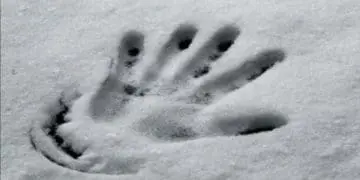 На морозі помер житель Скала-Подільської громади