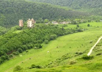 На Чортківщині, де ростуть червонокнижні рослини, хочуть видобувати гіпс