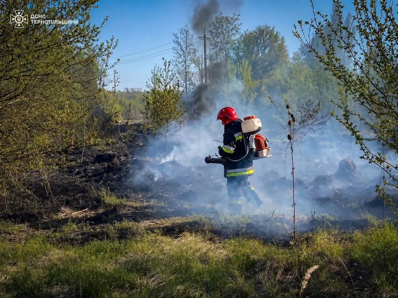 За добу на Тернопільщині ліквідували шість пожеж: найбільше горіла суха трава