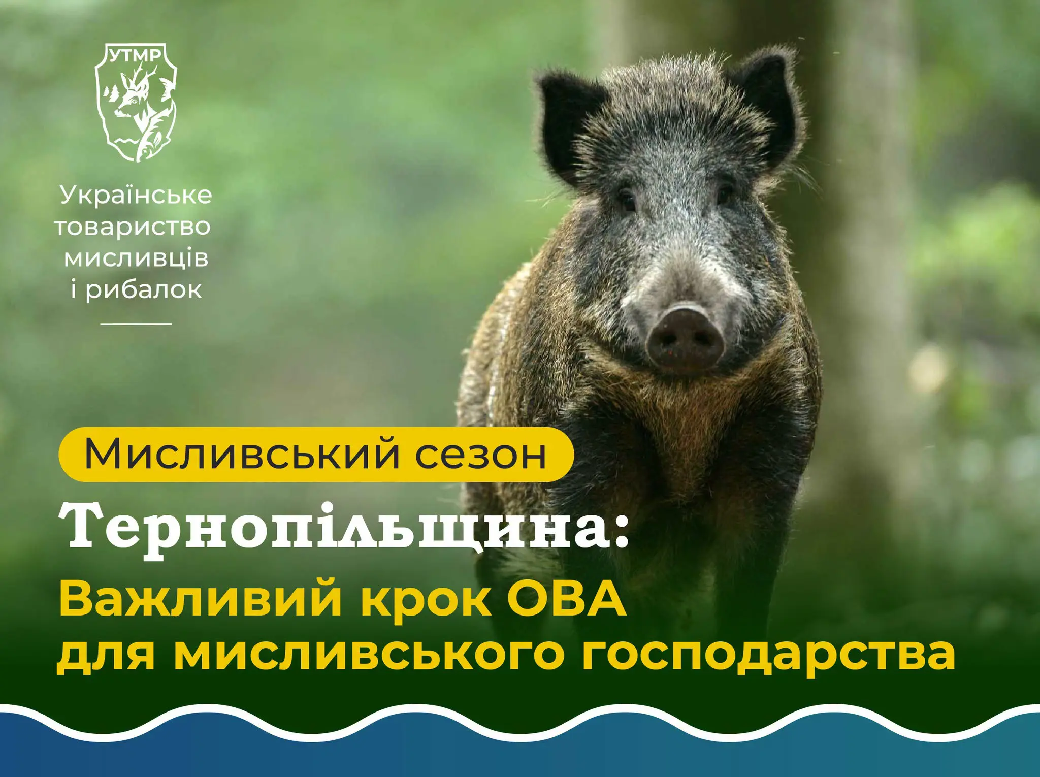На Тернопільщині врегулюють чисельність диких тварин: важливе рішення для екологічної безпеки