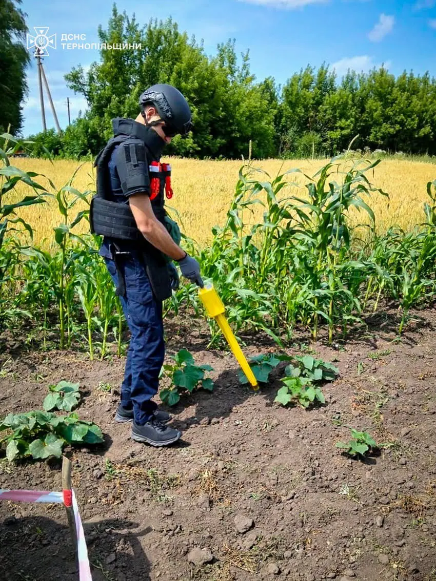 На Тернопільщині на подвір’ї приватного будинку знайшли гранату