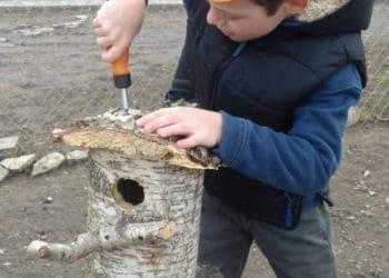 годівнички