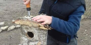 годівнички