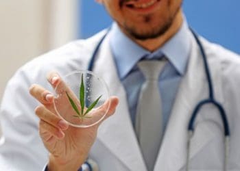 медичний канабіс