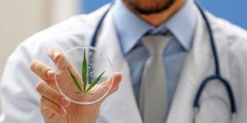 медичний канабіс