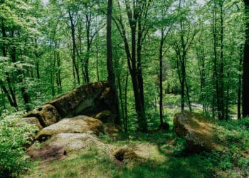 Монастирок