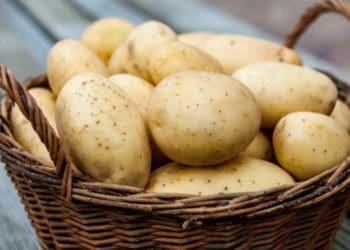 Стало відомо, чи подорожчає картопля