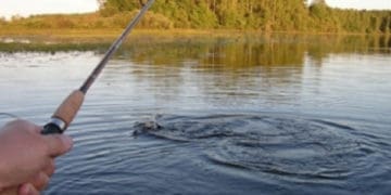 З 1 квітня на всіх рибогосподарських водних об’єктах Тернопільщини починається нерест