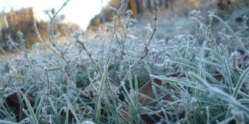 Майже зимове похолодання насувається на Тернопільщину