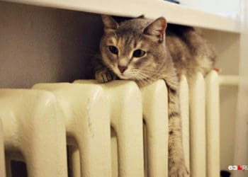 офіційно розпочали опалювальний сезон