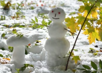 На Тернопільщину йде потепління