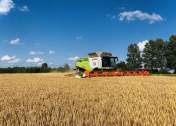 Тернопільщина зібрала перший мільйон тонн зерна