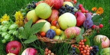 Сьогодні Яблучний Спас та Преображення Господнє: традиції святкування, чого сьогодні не можна робити