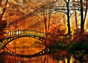 Ще погріємося: якою буде погода на Тернопільщині цього тижня