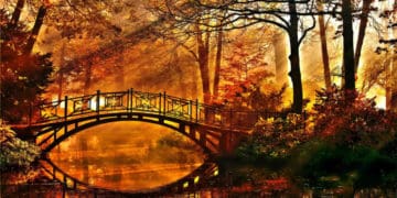 Ще погріємося: якою буде погода на Тернопільщині цього тижня