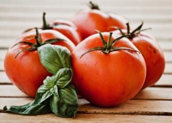 Як прискорити дозрівання помідорів: ефективні методи