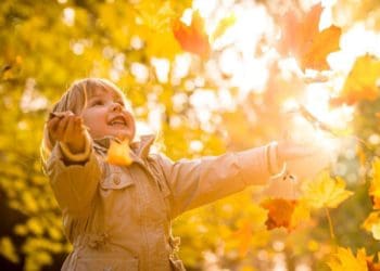 на Тернопільщині прогнозують