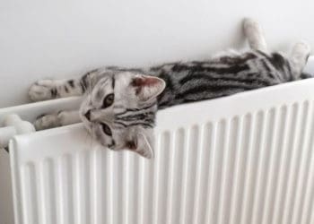 розпочинається опалювальний період