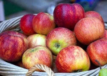 На Тернопільщині зʼявиться новий завод