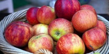 На Тернопільщині зʼявиться новий завод