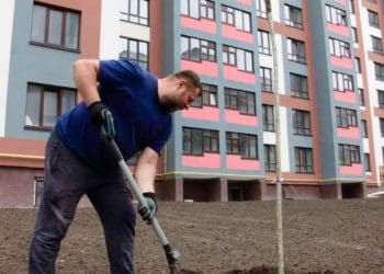 28 бігнонієвидних катальп висадили у Варшавському мікрорайоні Тернополя