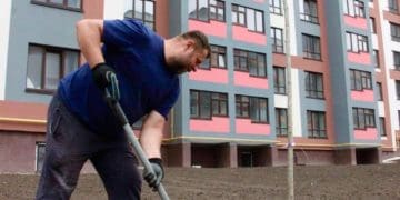 28 бігнонієвидних катальп висадили у Варшавському мікрорайоні Тернополя