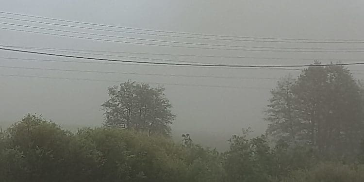 Такого на Тернопільщині вже давно не було: людей налякало побачене