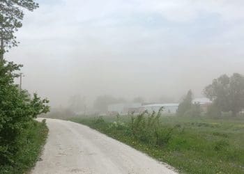 Такого на Тернопільщині вже давно не було: людей налякало побачене