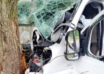 На Тернопільщині бус врізався у дерево