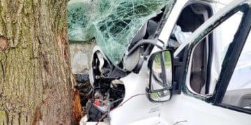 На Тернопільщині бус врізався у дерево