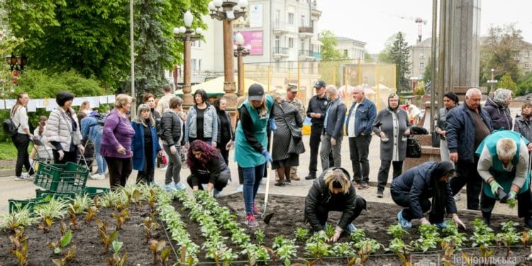 На центральній алеї Тернополя висадили «Квітник матері»