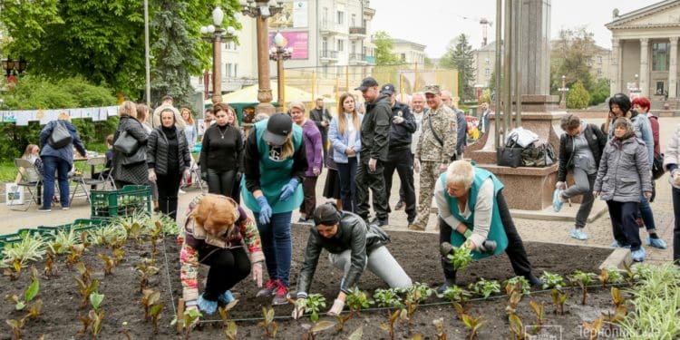 На центральній алеї Тернополя висадили «Квітник матері»