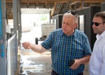 На Тернопільщині зводять два нових тваринницьких комплекси