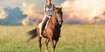 На Тернопільщину переїхала школа верхової їзди з Луганщини