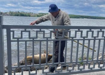 У Тернополі на озері чоловік виловив 15-кілограмову рибину (Фотофакт)