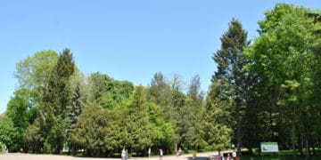 Тернополянин пропонує реконструювати Парк Слави так, щоб там можна було вшановувати пам’ять його засновника