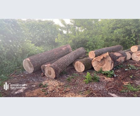 На Тернопільщині ДБР викрила злочинну групу з посадовців, яка крала у держави ліс на мільйони гривень