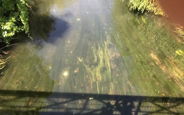 На Тернопільщині знайшли хрест, який при комуністах викинули у річку